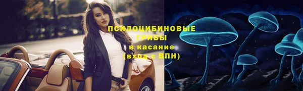 мяу мяу мука Балабаново