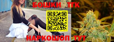 шишки Гай