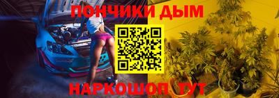 шишки Гай