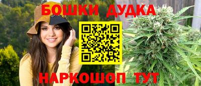 шишки Гай