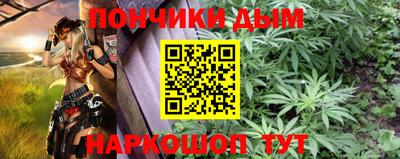 шишки Гай