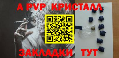 шишки Гай