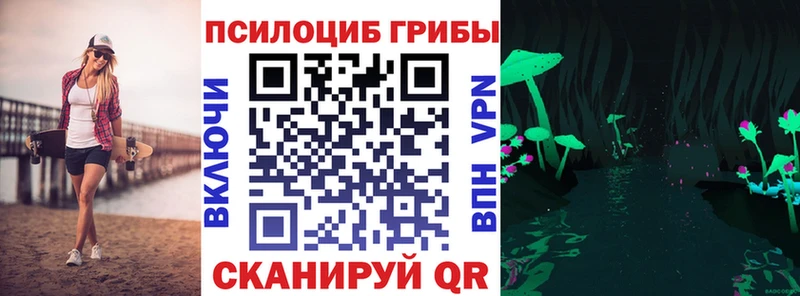 blacksprut   Нарткала  Псилоцибиновые грибы Psilocybine cubensis 