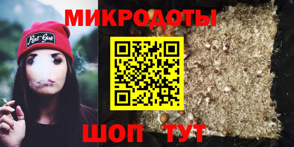 Галлюциногенные грибы мицелий  Вход с VPN  Галлюциногенные грибы прущие грибы  Нарткала 