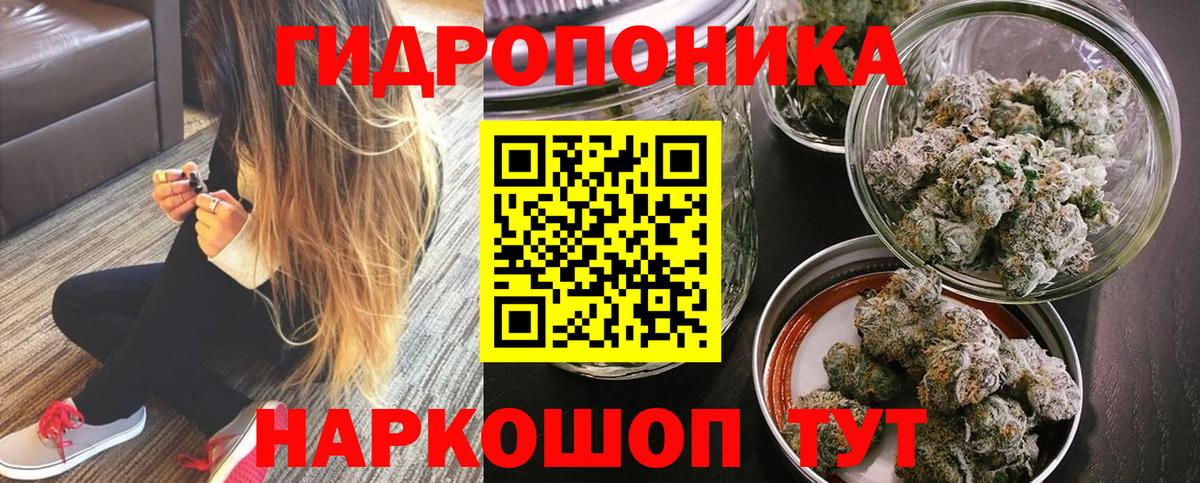 Каннабис конопля Нарткала